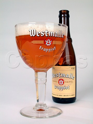 Bottle and glass of Westmalle trappist ale    Antwerp Belgium