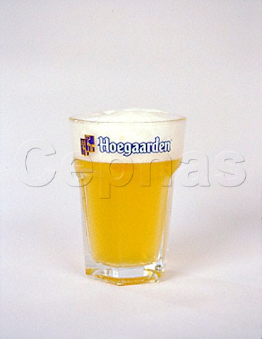 Glass of Hoegaarden white beer  Belgium