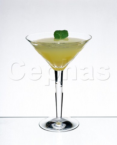 Cocktail Daiquiri  Glass Martini