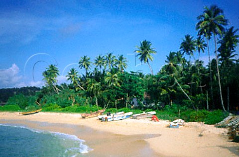 Beach at Unawatuna Sri Lanka