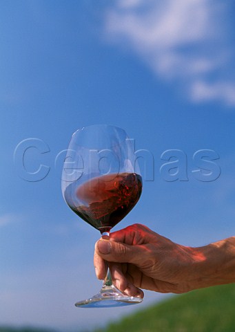 Swirling a glass of Barbaresco Piemonte Italy