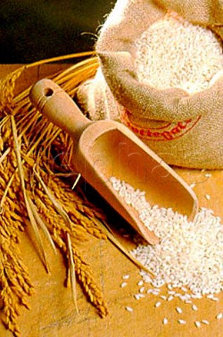 Italy Carnaroli rice for Risotto