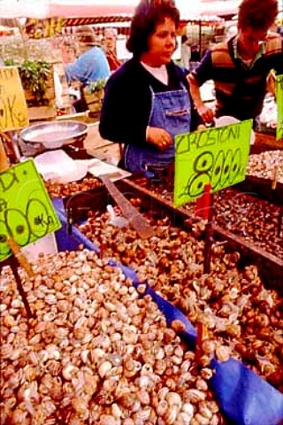 Edible snail stall in Torino market Piemonte Italy