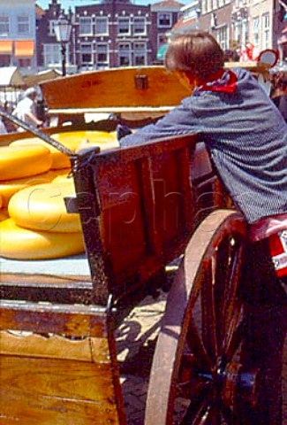 Unloading cheeses at the weighhouse   Gouda Netherlands