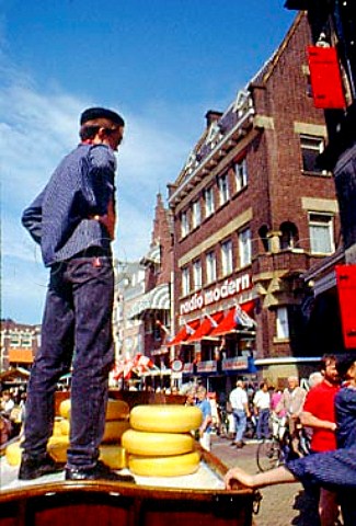 Cheeses about to be weighed in the   Market Place  Gouda  Netherlands