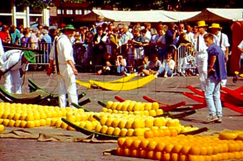 Preparing for the cheese carrying race   Alkmaar Netherlands