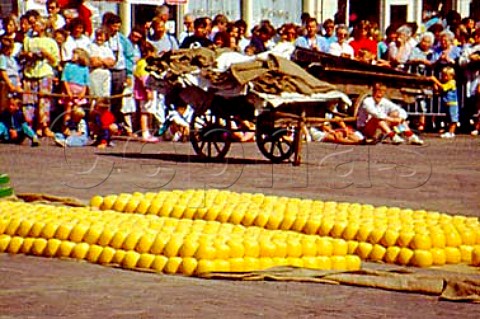 Rounds of cheese laid out in the   Waagplein Weighhouse square Alkmaar   Netherlands
