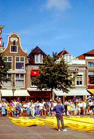 Preparing for a display of Cheese   weighing in the Waagplein Weighhouse   square Alkmaar Netherlands