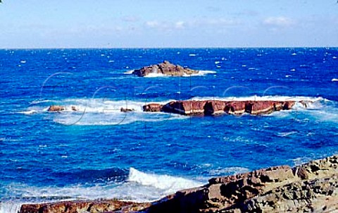 Worang Point Ben Boyd National Park  New South Wales  Australia