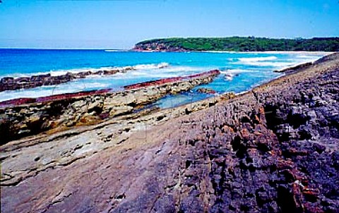 Saltwater Bay Ben Boyd National Park  New South Wales  Australia