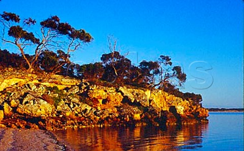 Port Douglas Coffin Bay National Park   South Australia