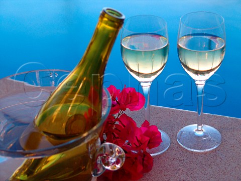 Bottle of white wine in cooler with glasses    Florida USA