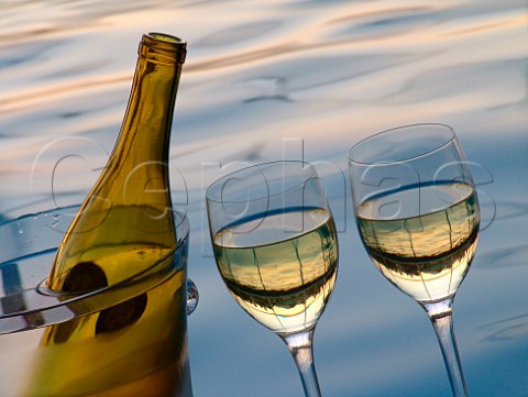 Bottle of white wine in cooler with glasses at   poolside Florida USA