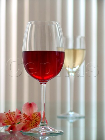 Glasses of red and white wine