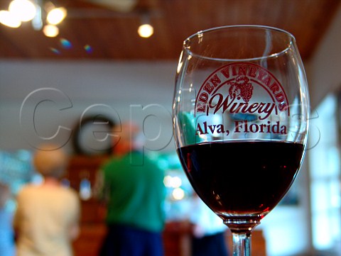 Wine glass in visitors tasting room Eden Vineyards   Winery Alva Florida USA