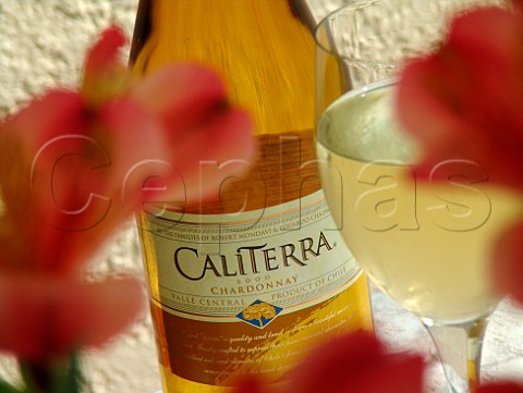 Bottle  glass of Caliterra Chilean Chardonnay wine