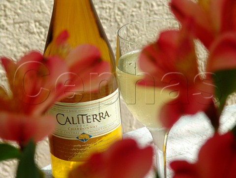 Bottle  glass of Caliterra Chilean Chardonnay wine