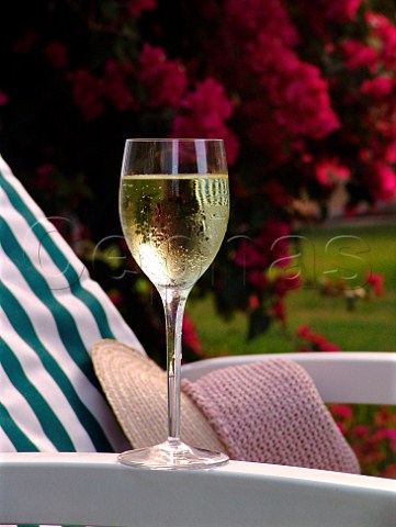 Glass of chilled white wine on sun lounger with    Bougainvillea in background  Florida USA