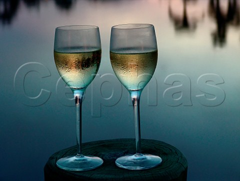 Two glasses of chilled white wine at dusk Florida  USA