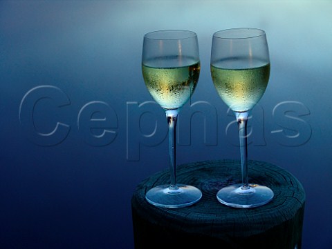 Two glasses of chilled white wine at dusk Florida  USA
