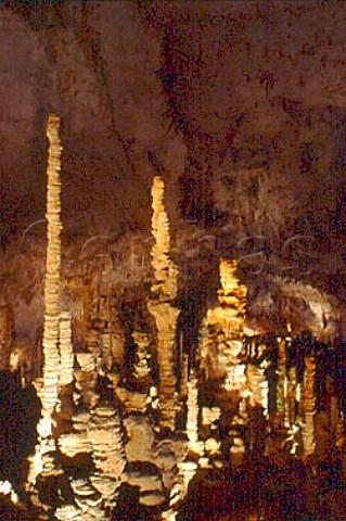 Aven dOrgnac caves  Ardche France    RhneAlpes