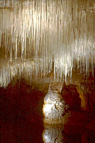 Stalactite straws Grotte de Choranche   Vercors Isre France  RhneAlpes