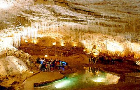 Tour group in the Grotte de Choranche   Vercors Isre France  RhneAlpes