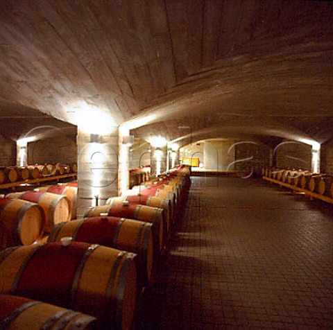 Barrel cellar of Craggy Range Giants Winery   Havelock North New Zealand   Hawkes Bay