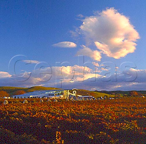 Sileni Estate winery viewed over autumnal vineyard   Bridge Pa New Zealand   Hawkes Bay