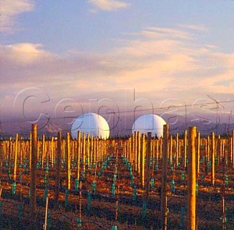 Thornbury Shandon Road vineyard in the Waihopai Valley with the Electronic Intelligence Gathering Base beyond    Marlborough New Zealand
