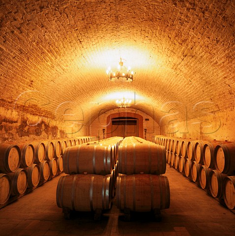 Barrel cellar of Errazuriz Aconcagua Valley Chile