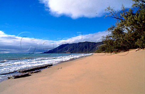 Wangetti Beach   northern Queensland Australia