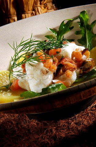 Angler fish and shrimp salad