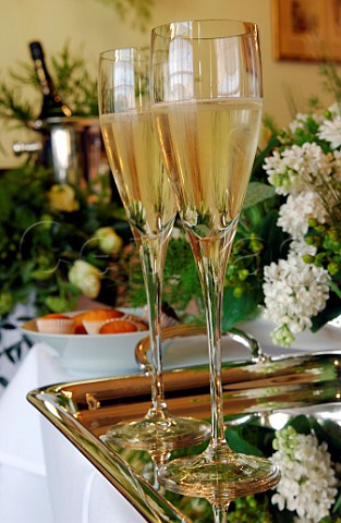 Champagne glasses on wedding table