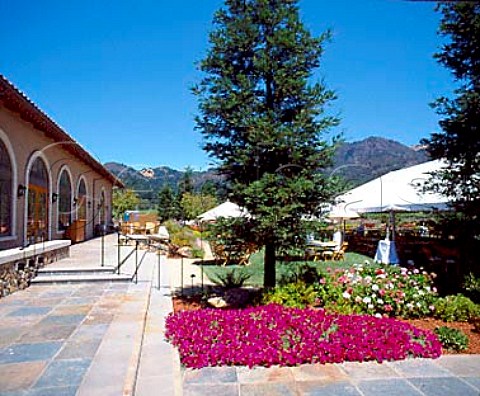 St Francis Wine Centre Santa Rosa Sonoma Co   California
