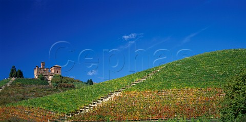 Castello di Grinzane above its vineyard at  Grinzane Cavour Piemonte Italy Barolo