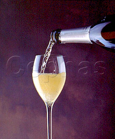 Pouring a glass of Contadi Castaldi sparkling wine   Satn from Franciacorta Lombardy Italy