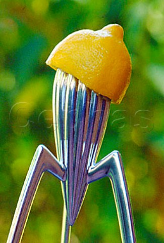 Lemon squeezer  designer Philippe Stark