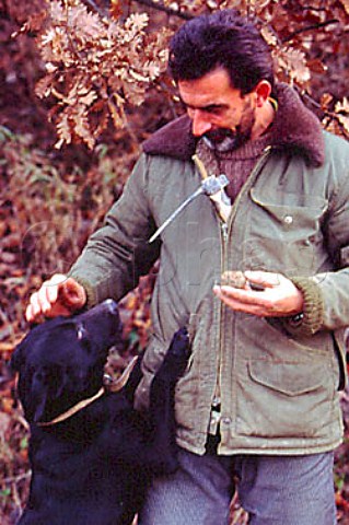 Truffle hunter and his dog In his   jacket is his zappino with which he digs   up truffles  Monforte dAlba Piemonte Italy