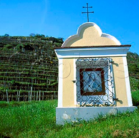 Shrine in Kellerberg vineyard Oberloiben   Niedersterreich Austria Wachau