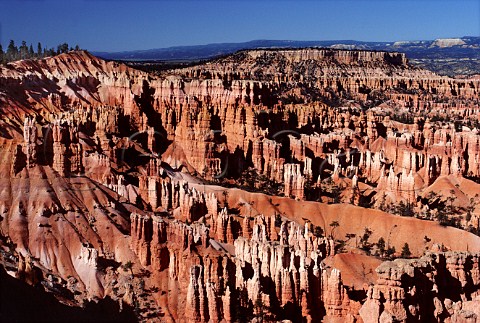 Bryce Canyon viewed from Sunrise Point   Bryce Canyon National Park Utah USA