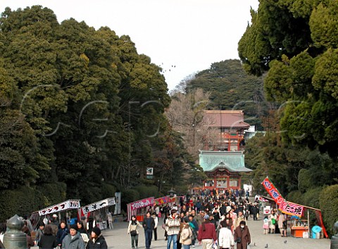 Hachimangu Shrine Kamakura Japan