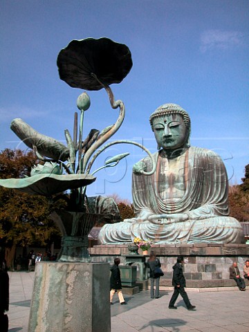 The Great Buddha Kamakura Kanagawa Prefecture   Japan