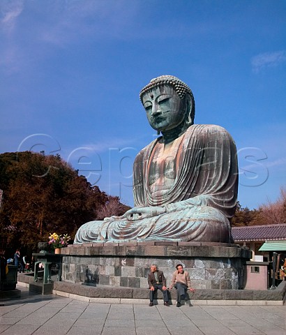 The Great Buddha Kamakura Kanagawa Prefecture   Japan