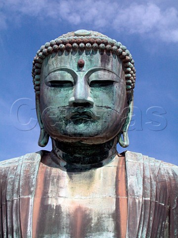 The Great Buddha Kamakura Kanagawa Prefecture   Japan