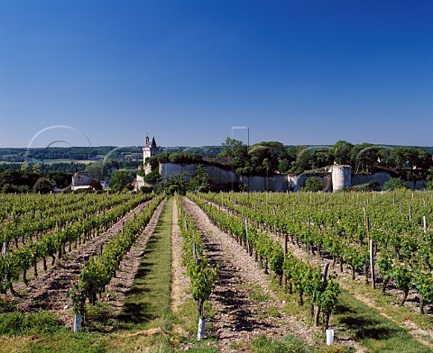 Clos de lEcho vineyard of CoulyDutheil by the   12th century chteau at Chinon    IndreetLoire France  AC Chinon