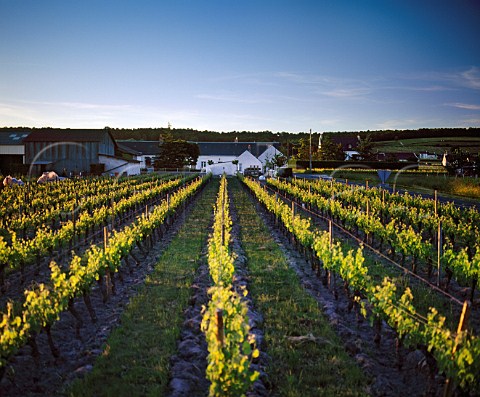 Buildings and vineyards of Domaine Yannick Amirault   Bourgueil IndreetLoire France Bourgueil