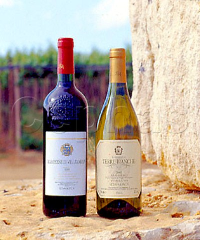 Bottles of Marchese di Villamarina and Terre Bianche   wines standing on rocks that were excavated prior to   the vineyard planting   Sella  Mosca Alghero Sardinia Italy