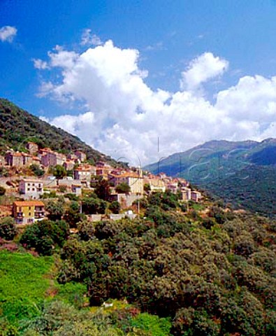 Hillside village of Olmeto CorseduSud Corsica   France