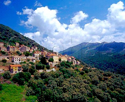 Hillside village of Olmeto CorseduSud Corsica   France